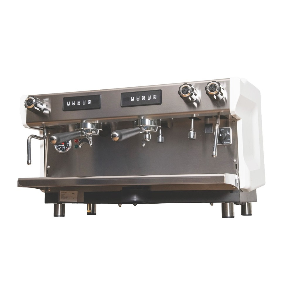 Di Giorgio 2 Gruplu Profesyonel Espresso Kahve Makinası