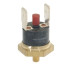 Cimbali Limit Termostat